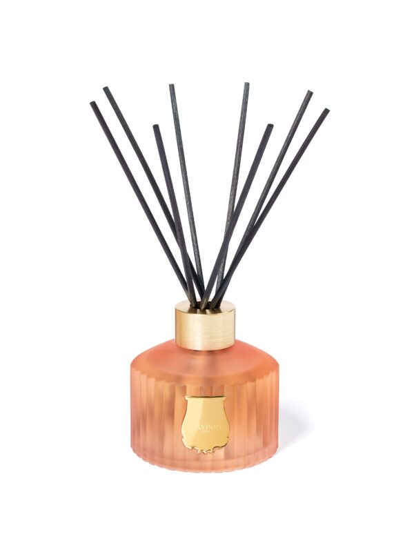 TUILERIES - The Diffuser