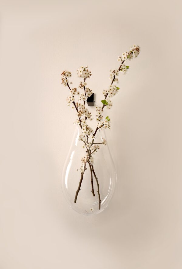 Hold Vessel DX – Clear