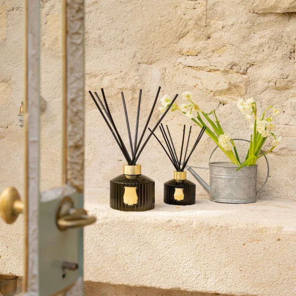 The Large Diffuser Abd El Kader