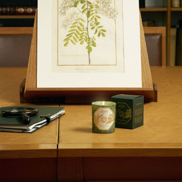 Bougie Absinthe CANDLE