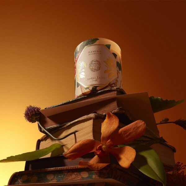 Bougie Frangipanier CANDLE