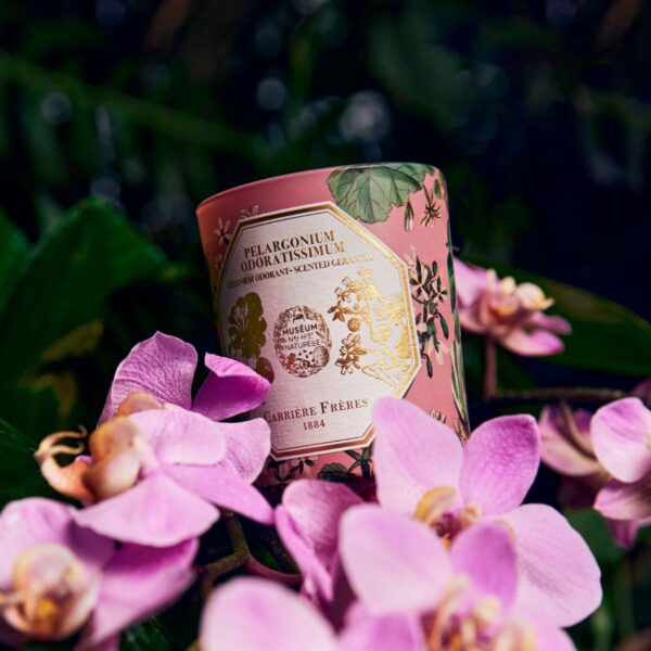Bougie Géranium CANDLE