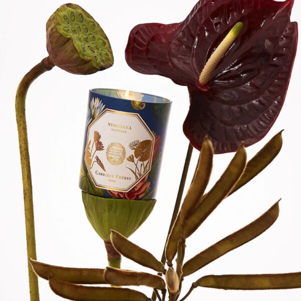 Bougie Nénuphar CANDLE