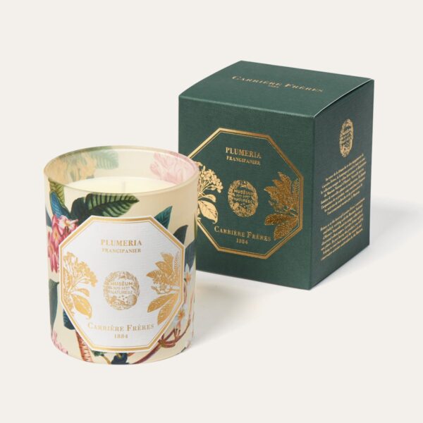 Bougie Frangipanier CANDLE