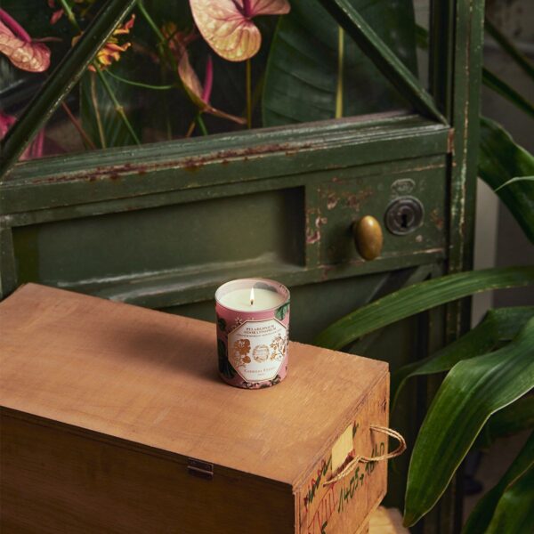 Bougie Géranium CANDLE