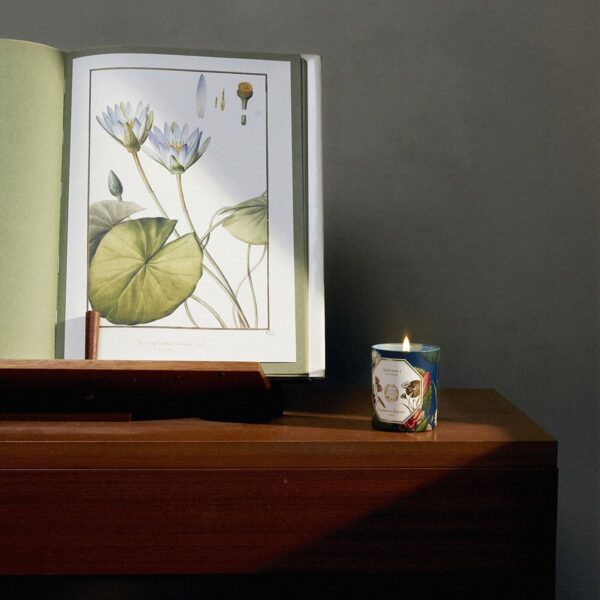 Bougie Nénuphar CANDLE