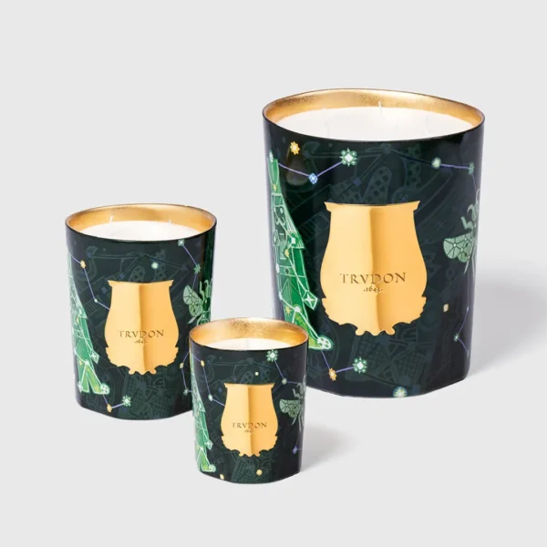 Trudon Christmas Collection - Fir Candle