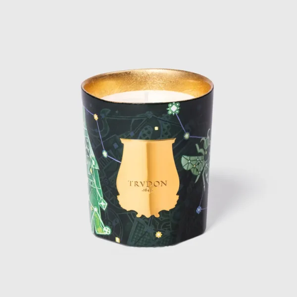 Trudon Christmas Collection - Fir Candle